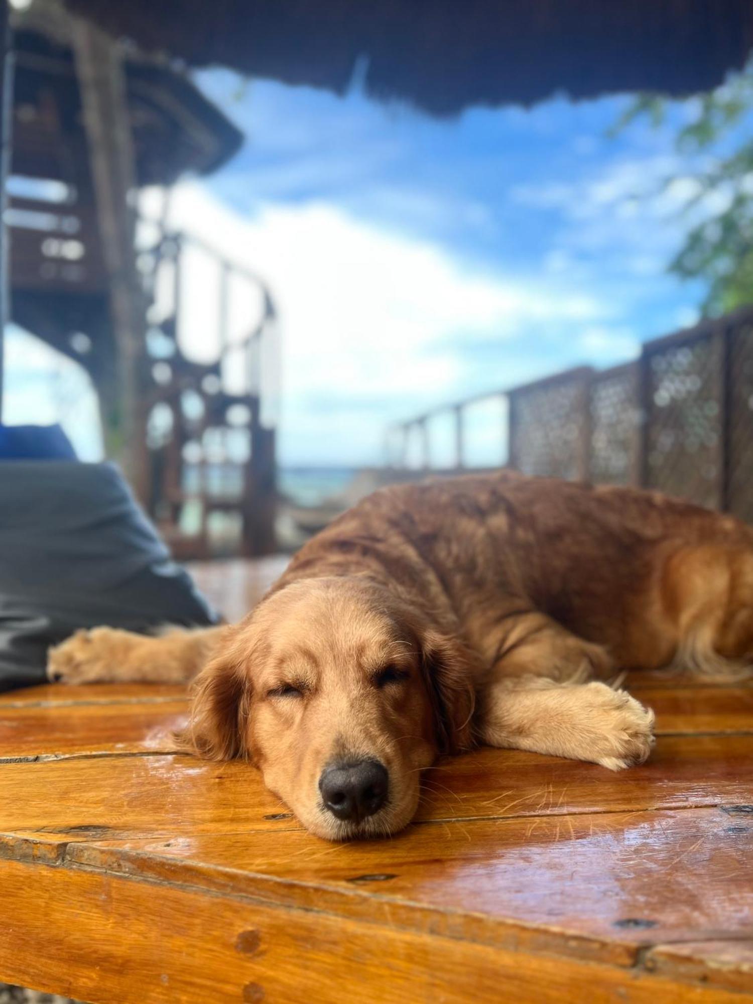 White Bada Guesthouse Siquijor Kültér fotó